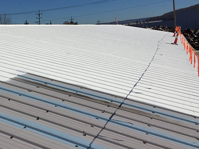 Metal Roofing